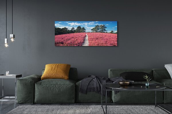 Obraz canvas na ścianę Pole Wrzosów i Las