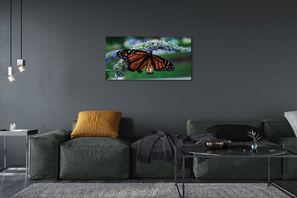 Obraz na płótnie Motyl na Kwiatuszku