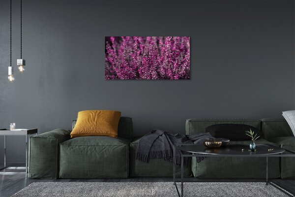 Obraz canvas na ścianę Pole Wrzosów