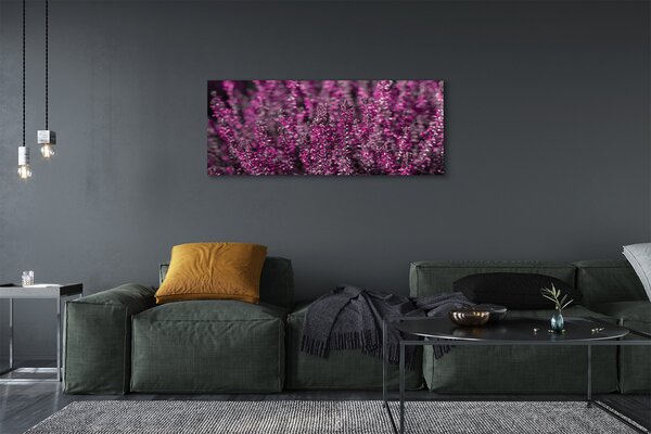 Obraz canvas na ścianę Pole Wrzosów