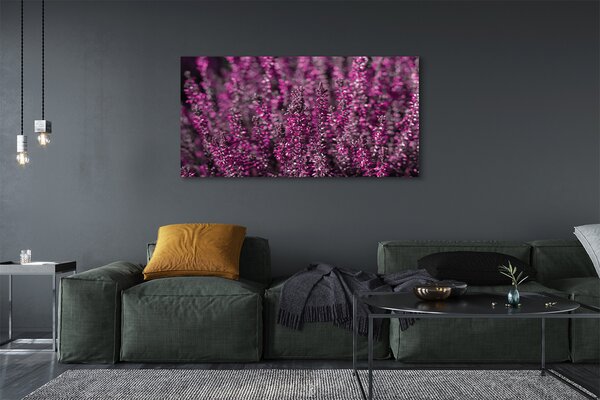 Obraz canvas na ścianę Pole Wrzosów