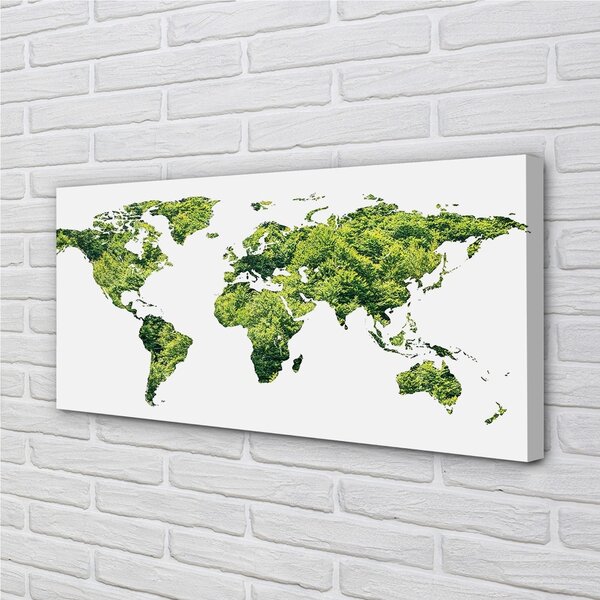 Obraz canvas na ścianę Mapa na Zielonej Trawie