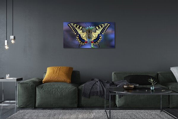 Obraz na płótnie Motyl na Kwiecie w Zbliżeniu
