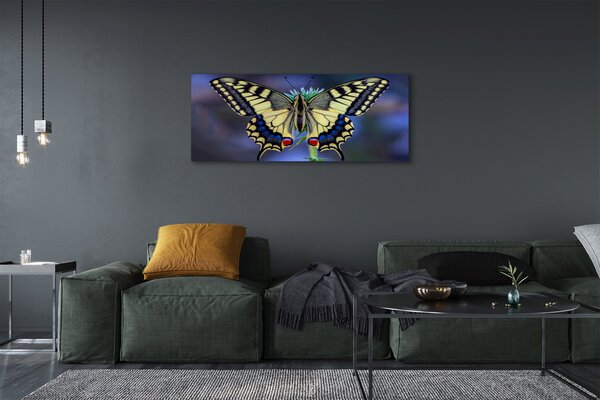 Obraz na płótnie Motyl na Kwiecie w Zbliżeniu