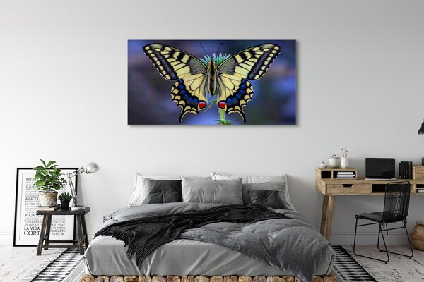 Obraz na płótnie Motyl na Kwiecie w Zbliżeniu