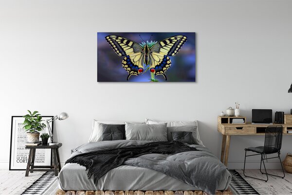 Obraz na płótnie Motyl na Kwiecie w Zbliżeniu