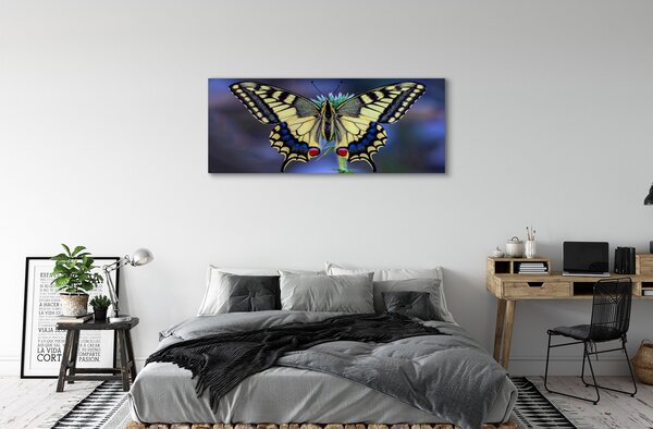 Obraz na płótnie Motyl na Kwiecie w Zbliżeniu