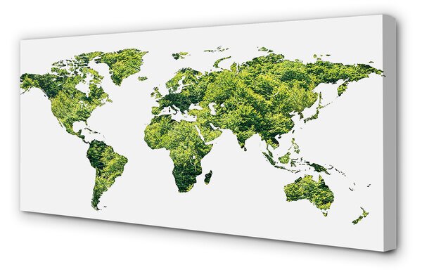 Obraz canvas na ścianę Mapa na Zielonej Trawie