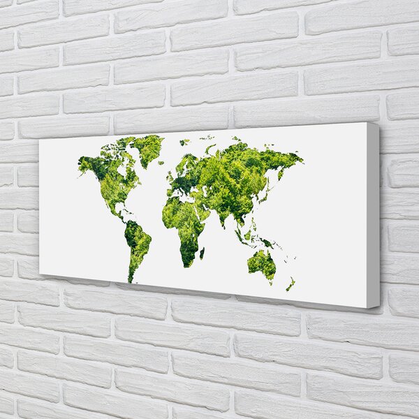 Obraz canvas na ścianę Mapa na Zielonej Trawie