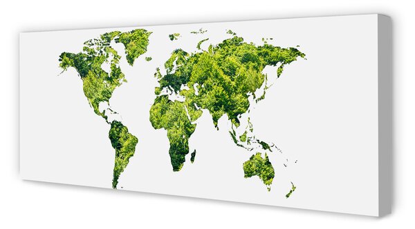 Obraz canvas na ścianę Mapa na Zielonej Trawie
