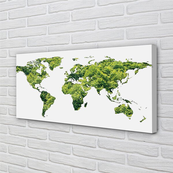 Obraz canvas na ścianę Mapa na Zielonej Trawie
