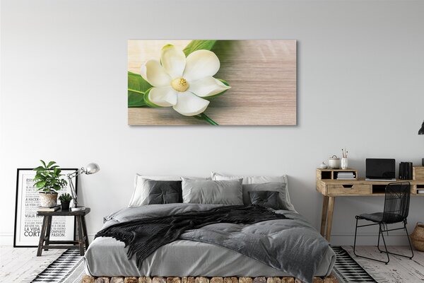 Zdjęcie na płótnie Biała Magnolia