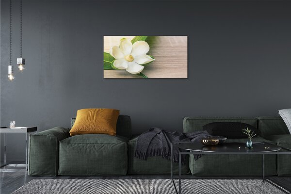 Zdjęcie na płótnie Biała Magnolia