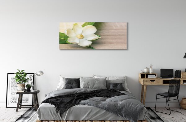 Zdjęcie na płótnie Biała Magnolia
