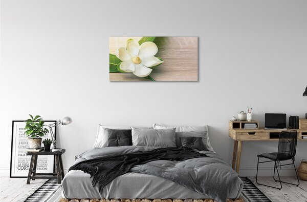 Zdjęcie na płótnie Biała Magnolia