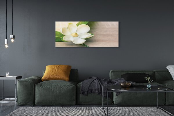 Zdjęcie na płótnie Biała Magnolia