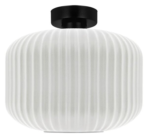 Lampa z dużym kloszem C5-W22