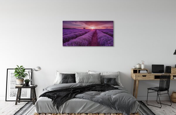 Obraz canvas na ścianę Pole Wrzosów