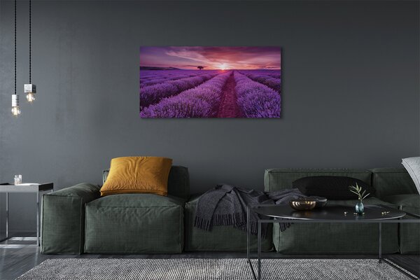 Obraz canvas na ścianę Pole Wrzosów