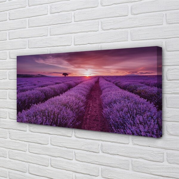 Obraz canvas na ścianę Pole Wrzosów