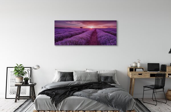Obraz canvas na ścianę Pole Wrzosów