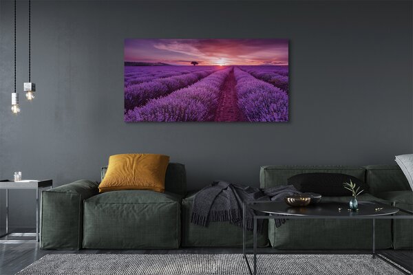 Obraz canvas na ścianę Pole Wrzosów