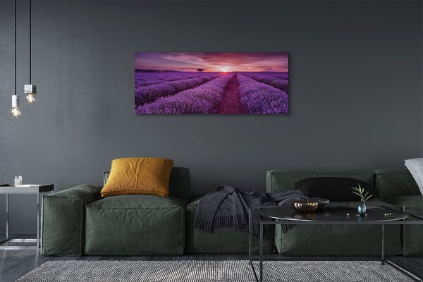 Obraz canvas na ścianę Pole Wrzosów