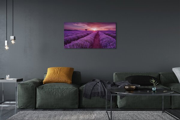 Obraz canvas na ścianę Pole Wrzosów