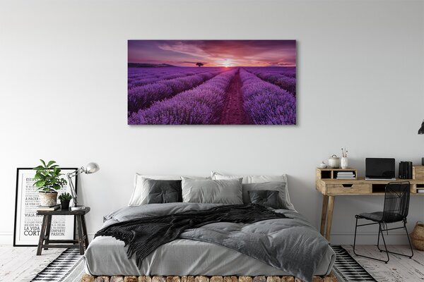 Obraz canvas na ścianę Pole Wrzosów