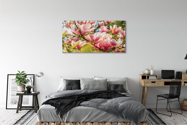 Fotoobraz na płótnie Różowa Magnolia