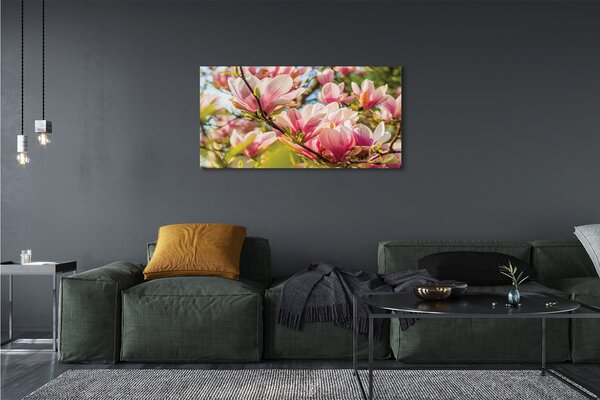Fotoobraz na płótnie Różowa Magnolia