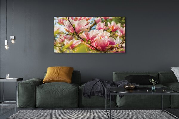 Fotoobraz na płótnie Różowa Magnolia