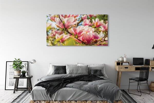 Fotoobraz na płótnie Różowa Magnolia