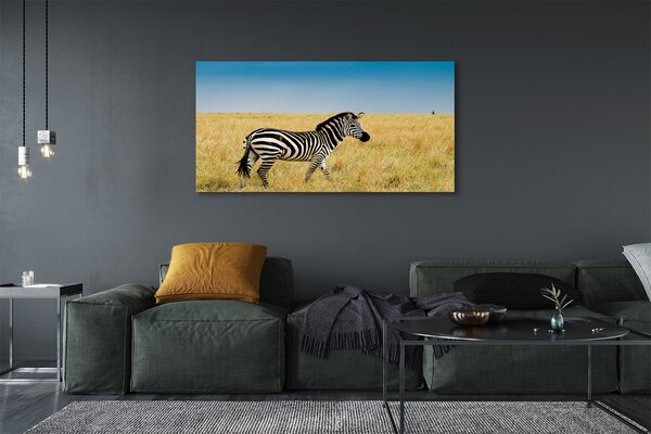 Obraz na płótnie Zebra na Sawannie