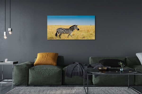 Obraz na płótnie Zebra na Sawannie