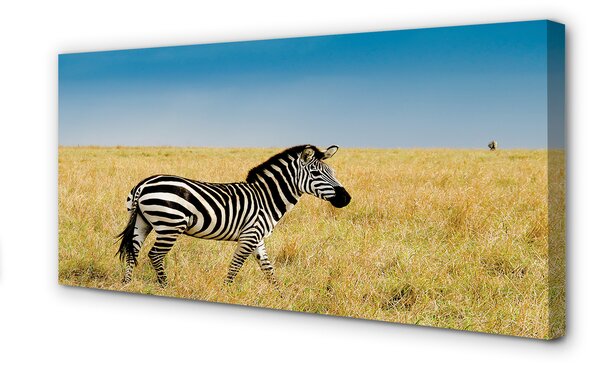 Obraz na płótnie Zebra na Sawannie