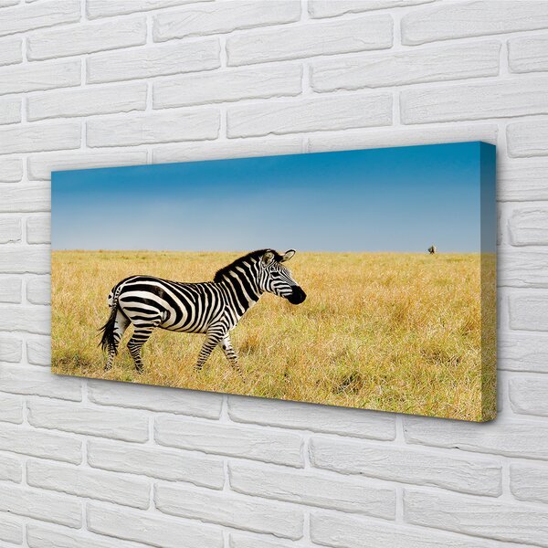 Obraz na płótnie Zebra na Sawannie