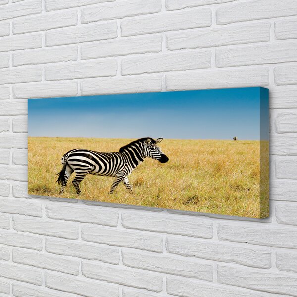 Obraz na płótnie Zebra na Sawannie