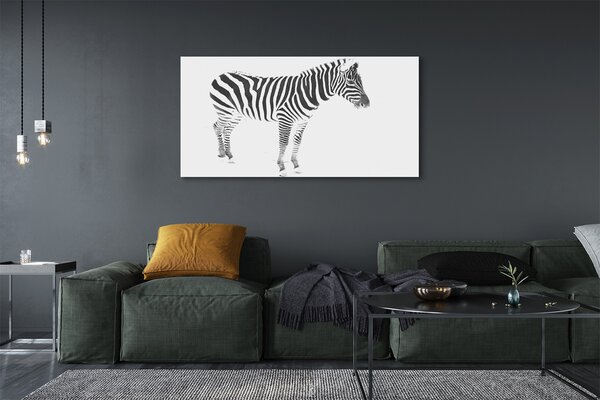 Obraz na płótnie Malowana Zebra