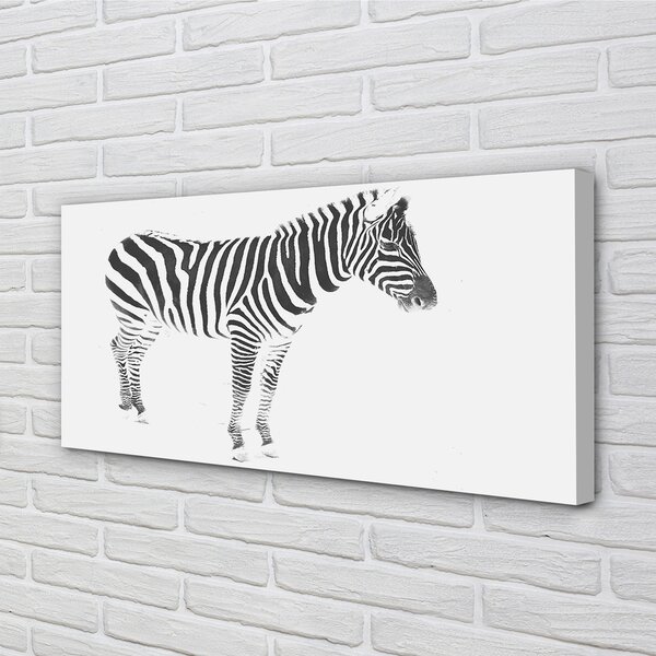 Obraz na płótnie Malowana Zebra