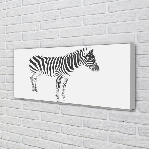 Obraz na płótnie Malowana Zebra