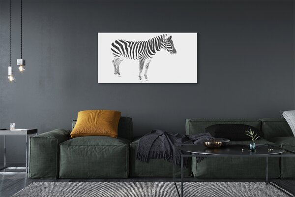 Obraz na płótnie Malowana Zebra