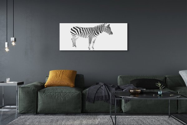 Obraz na płótnie Malowana Zebra