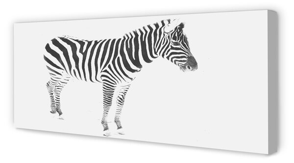 Obraz na płótnie Malowana Zebra