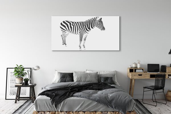 Obraz na płótnie Malowana Zebra