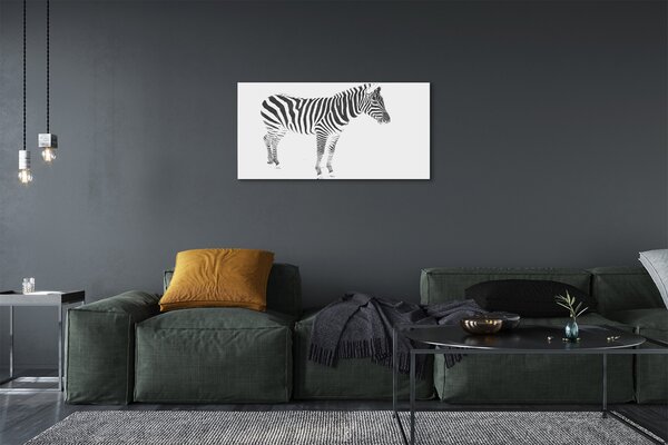 Obraz na płótnie Malowana Zebra