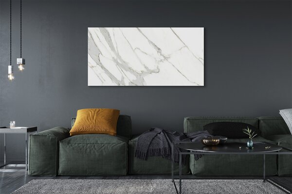Obraz canvas na ścianę Organiczny Wzór Marmurowy