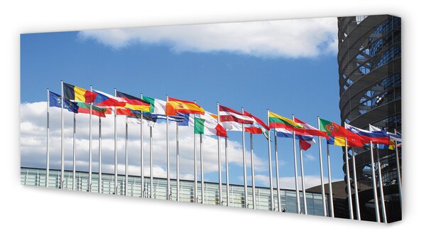 Duży obraz na płótnie Kilka Flag