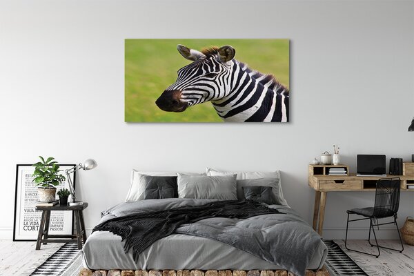 Obraz na płótnie Zebra w Zbliżeniu