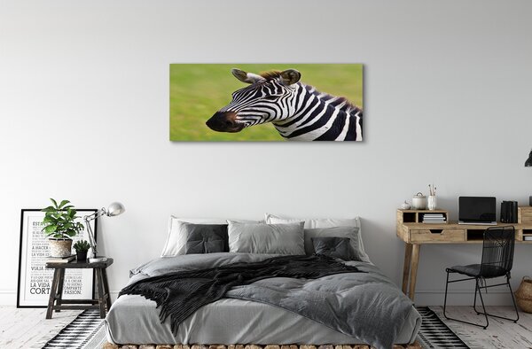Obraz na płótnie Zebra w Zbliżeniu